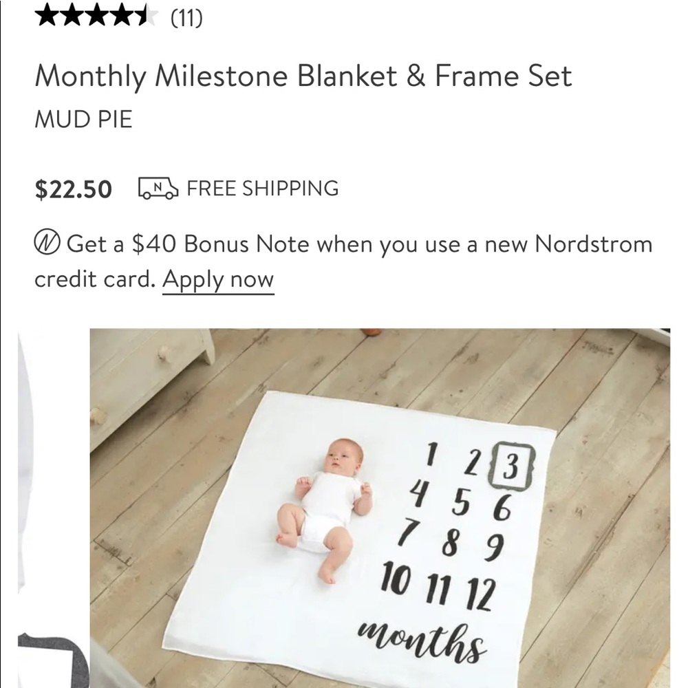 Brand new milestone blanket